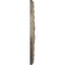 Ekena Millwork Palmetto Ceiling Medallion (Canopies up to 5"), 20 7/8"OD x 3 5/8"ID x 1 5/8"P, Gobi Desert Crackle CM20PMGDC - alternate 2